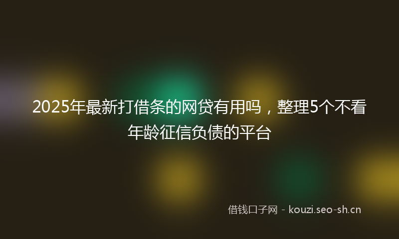 2025年最新打借条的网贷有用吗，整理5个不看年龄征信负债的平台