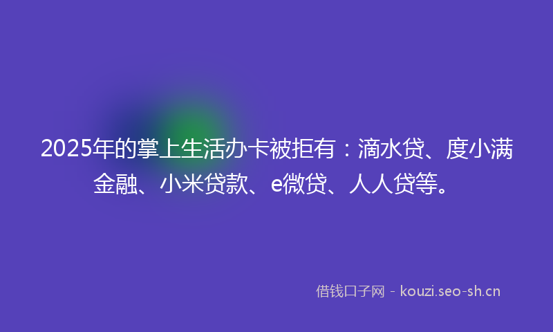 2025年的掌上生活办卡被拒有：滴水贷、度小满金融、小米贷款、e微贷、人人贷等。