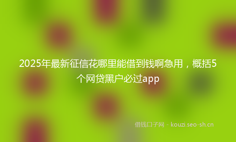 2025年最新征信花哪里能借到钱啊急用,概括5个网贷黑户必过app