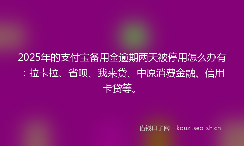 2025年的支付宝备用金逾期两天被停用怎么办有：拉卡拉、省呗、我来贷、中原消费金融、信用卡贷等。