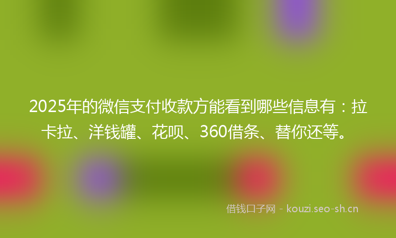 2025年的微信支付收款方能看到哪些信息有：拉卡拉、洋钱罐、花呗、360借条、替你还等。