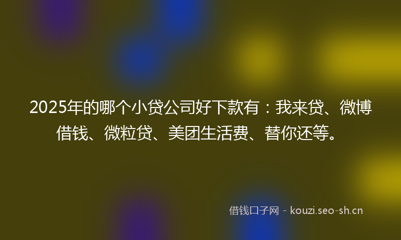 2025年的哪个小贷公司好下款有：我来贷、微博借钱、微粒贷、美团生活费、替你还等。