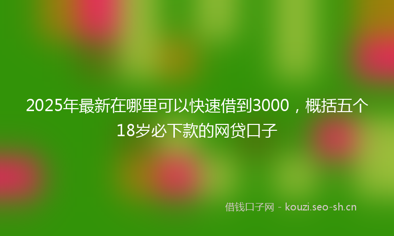 2025年最新在哪里可以快速借到3000，概括五个18岁必下款的网贷口子