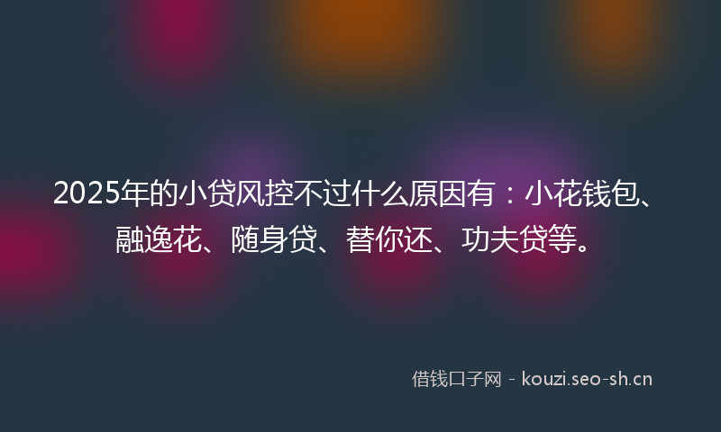 2025年的小贷风控不过什么原因有：小花钱包、融逸花、随身贷、替你还、功夫贷等。