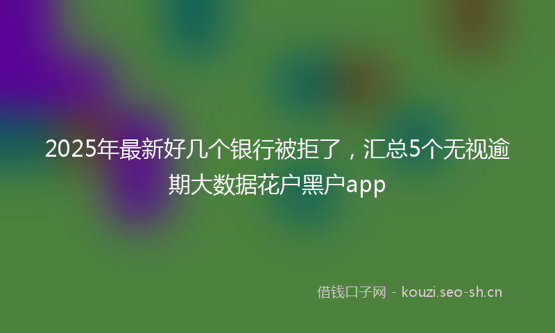 2025年最新好几个银行被拒了，汇总5个无视逾期大数据花户黑户app