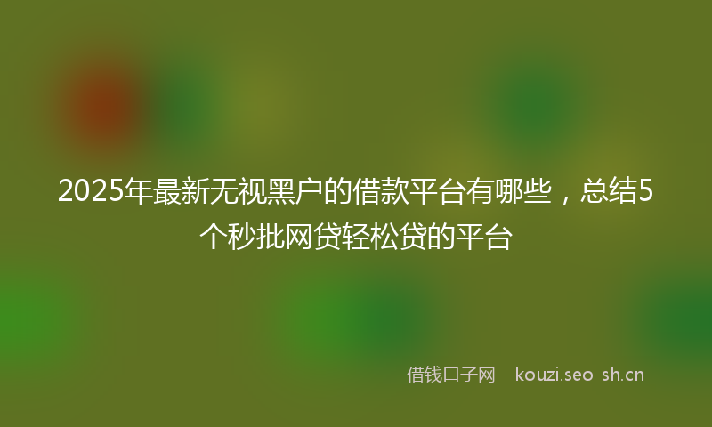 2025年最新无视黑户的借款平台有哪些，总结5个秒批网贷轻松贷的平台