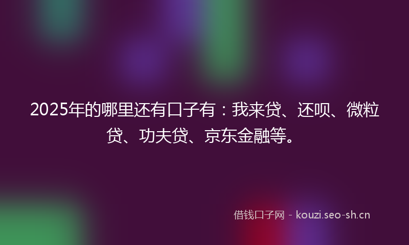 2025年的哪里还有口子有：我来贷、还呗、微粒贷、功夫贷、京东金融等。