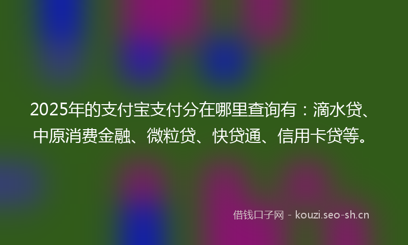 2025年的支付宝支付分在哪里查询有：滴水贷、中原消费金融、微粒贷、快贷通、信用卡贷等。