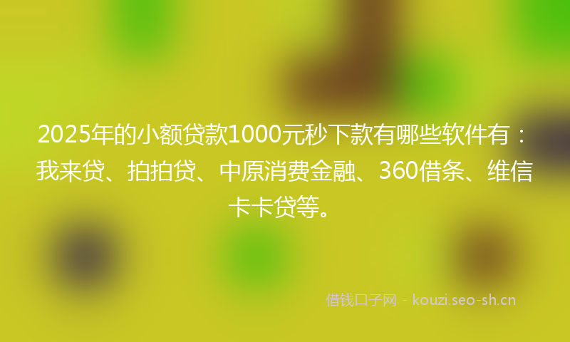 2025年的小额贷款1000元秒下款有哪些软件有：我来贷、拍拍贷、中原消费金融、360借条、维信卡卡贷等。
