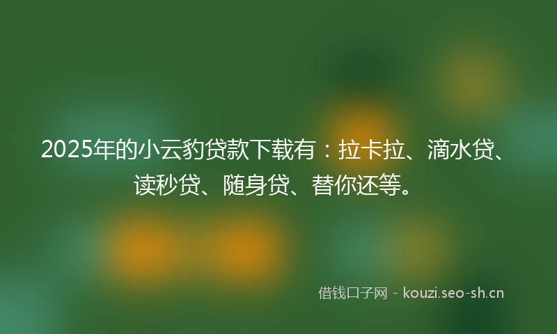 2025年的小云豹贷款下载有：拉卡拉、滴水贷、读秒贷、随身贷、替你还等。
