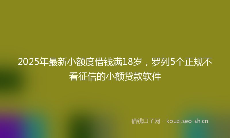 2025年最新小额度借钱满18岁，罗列5个正规不看征信的小额贷款软件