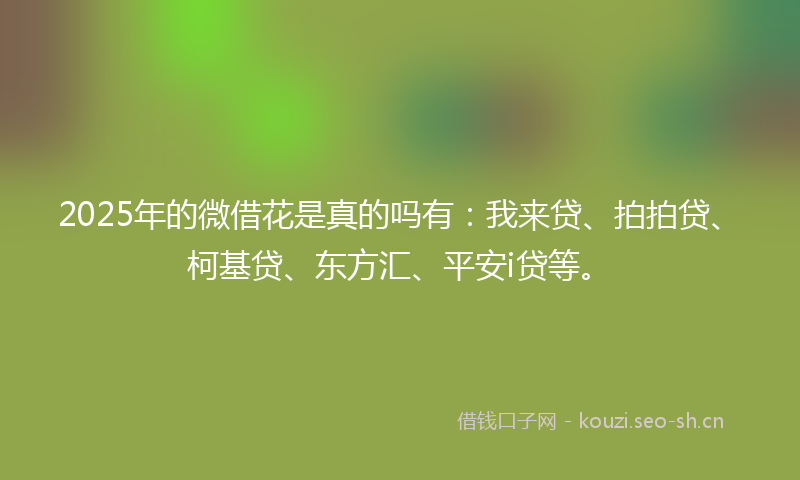 2025年的微借花是真的吗有：我来贷、拍拍贷、柯基贷、东方汇、平安i贷等。