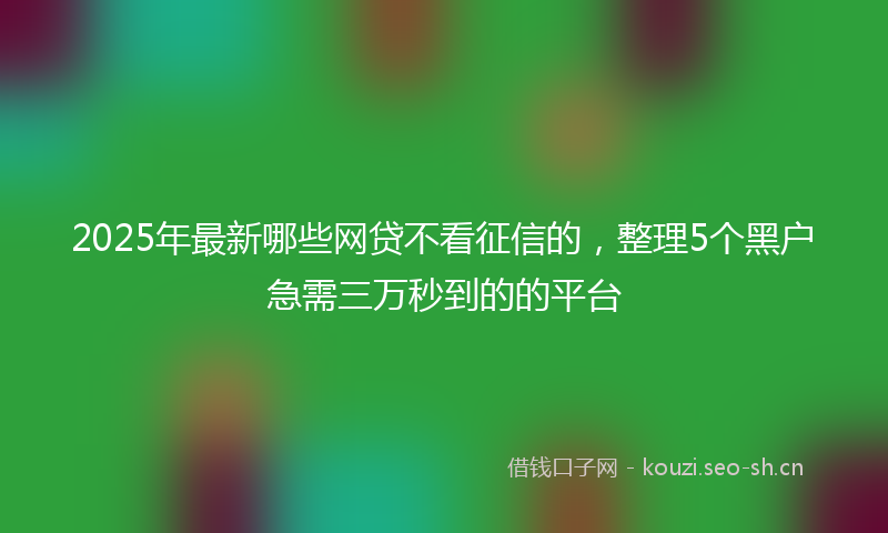 2025年最新哪些网贷不看征信的，整理5个黑户急需三万秒到的的平台