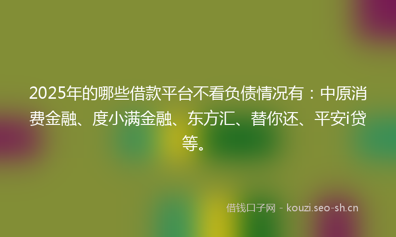 2025年的哪些借款平台不看负债情况有：中原消费金融、度小满金融、东方汇、替你还、平安i贷等。