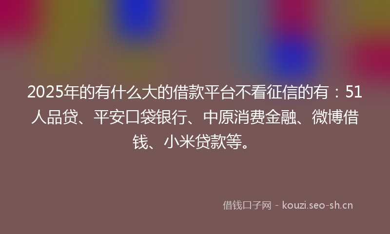 2025年的有什么大的借款平台不看征信的有：51人品贷、平安口袋银行、中原消费金融、微博借钱、小米贷款等。