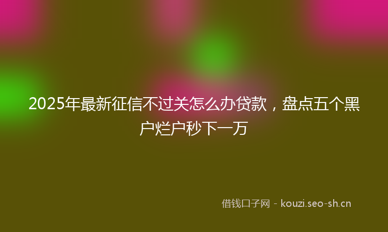 2025年最新征信不过关怎么办贷款，盘点五个黑户烂户秒下一万