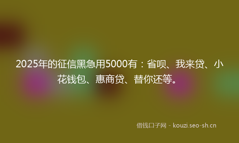 2025年的征信黑急用5000有：省呗、我来贷、小花钱包、惠商贷、替你还等。