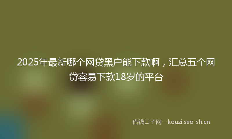 2025年最新哪个网贷黑户能下款啊，汇总五个网贷容易下款18岁的平台