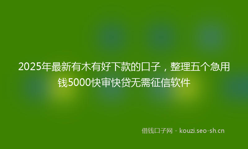 2025年最新有木有好下款的口子，整理五个急用钱5000快审快贷无需征信软件