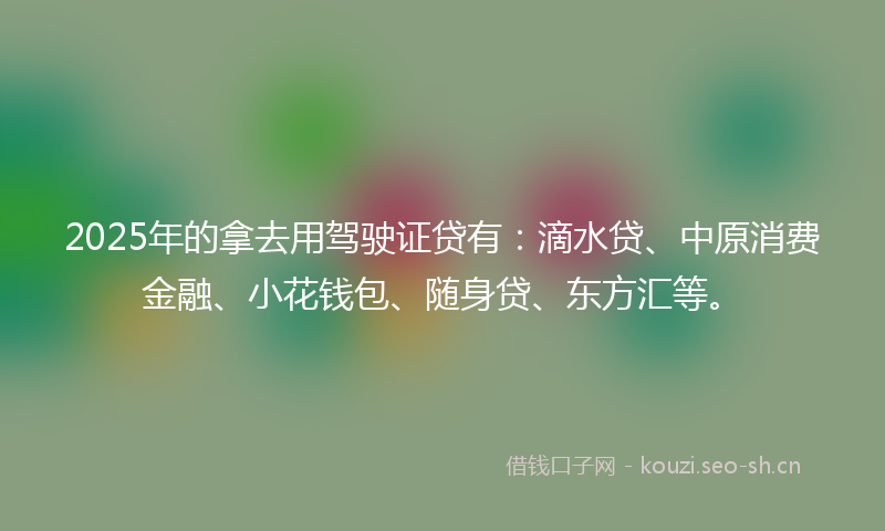 2025年的拿去用驾驶证贷有：滴水贷、中原消费金融、小花钱包、随身贷、东方汇等。