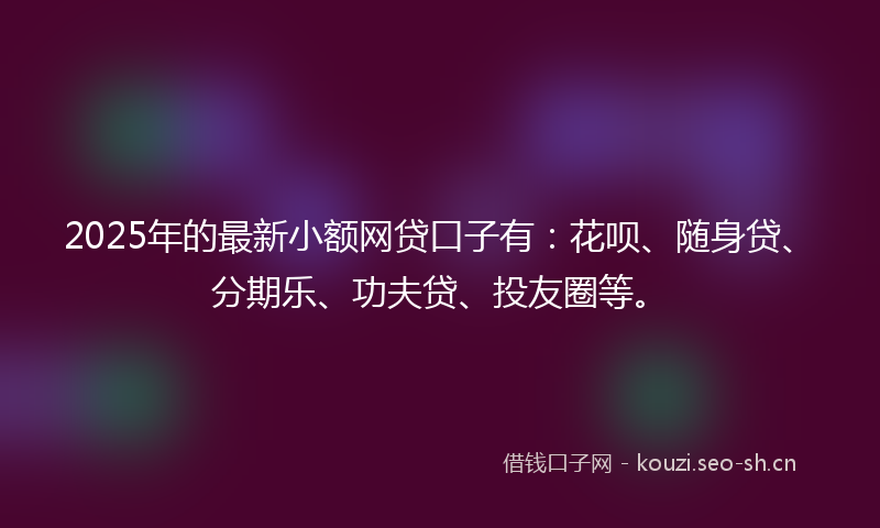 2025年的最新小额网贷口子有：花呗、随身贷、分期乐、功夫贷、投友圈等。