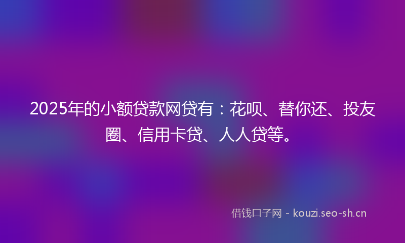 2025年的小额贷款网贷有：花呗、替你还、投友圈、信用卡贷、人人贷等。