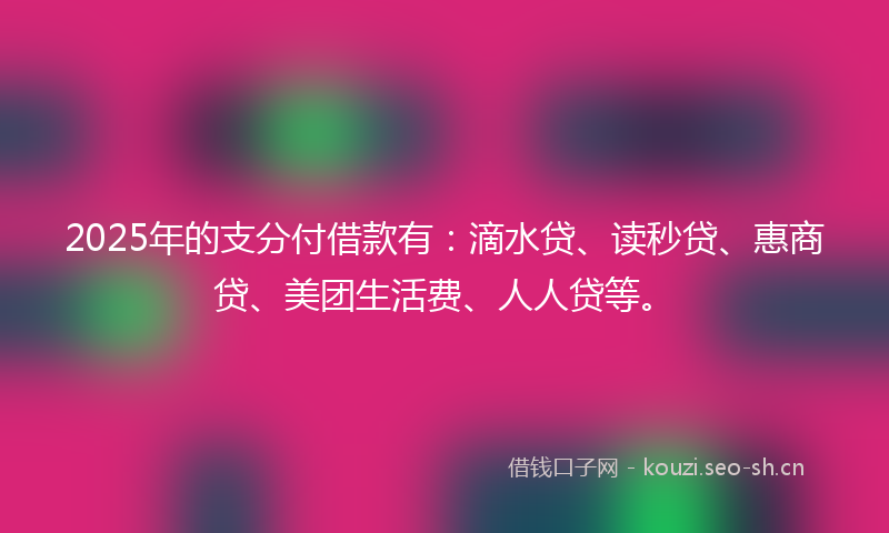 2025年的支分付借款有：滴水贷、读秒贷、惠商贷、美团生活费、人人贷等。