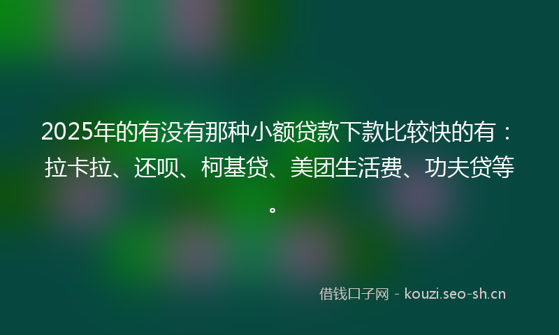 2025年的有没有那种小额贷款下款比较快的有：拉卡拉、还呗、柯基贷、美团生活费、功夫贷等。