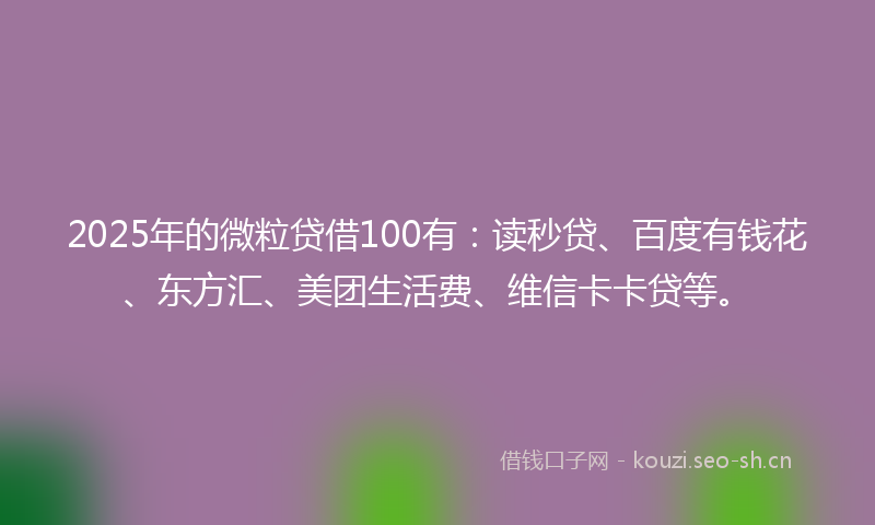 2025年的微粒贷借100有：读秒贷、百度有钱花、东方汇、美团生活费、维信卡卡贷等。