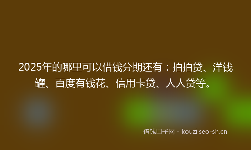 2025年的哪里可以借钱分期还有：拍拍贷、洋钱罐、百度有钱花、信用卡贷、人人贷等。