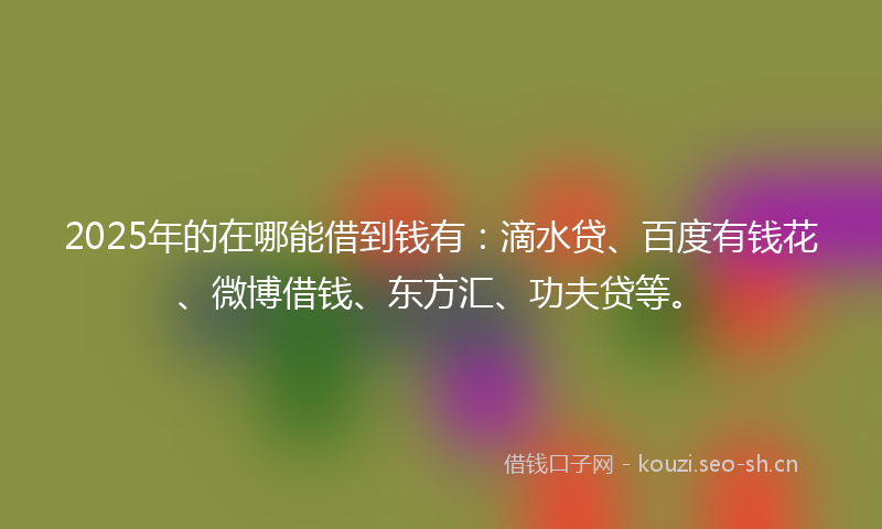 2025年的在哪能借到钱有：滴水贷、百度有钱花、微博借钱、东方汇、功夫贷等。