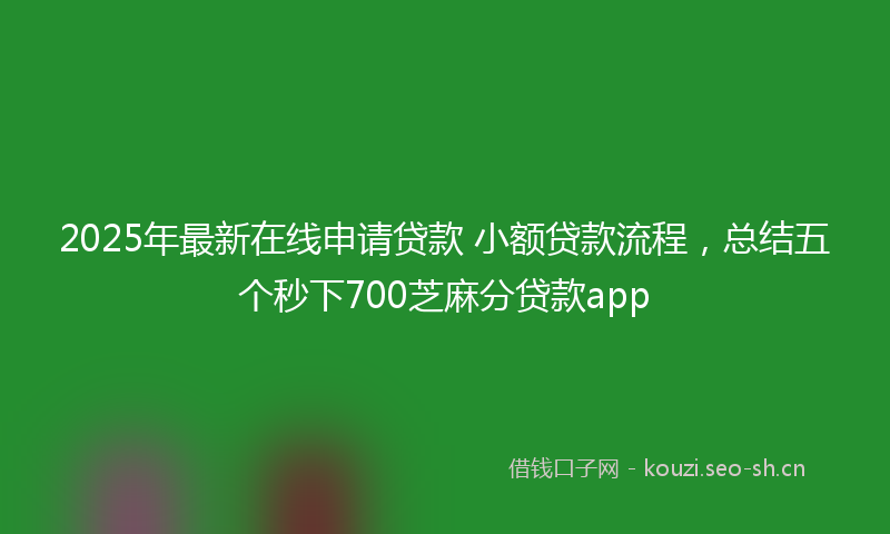 2025年最新在线申请贷款 小额贷款流程，总结五个秒下700芝麻分贷款app
