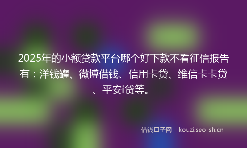 2025年的小额贷款平台哪个好下款不看征信报告有：洋钱罐、微博借钱、信用卡贷、维信卡卡贷、平安i贷等。