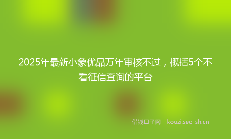 2025年最新小象优品万年审核不过，概括5个不看征信查询的平台
