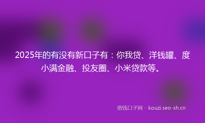 2025年的有没有新口子有：你我贷、洋钱罐、度小满金融、投友圈、小米贷款等。