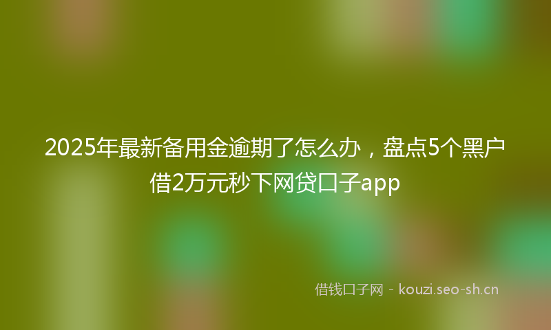2025年最新备用金逾期了怎么办，盘点5个黑户借2万元秒下网贷口子app