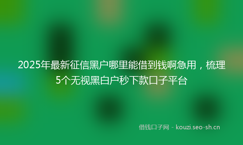 2025年最新征信黑户哪里能借到钱啊急用，梳理5个无视黑白户秒下款口子平台