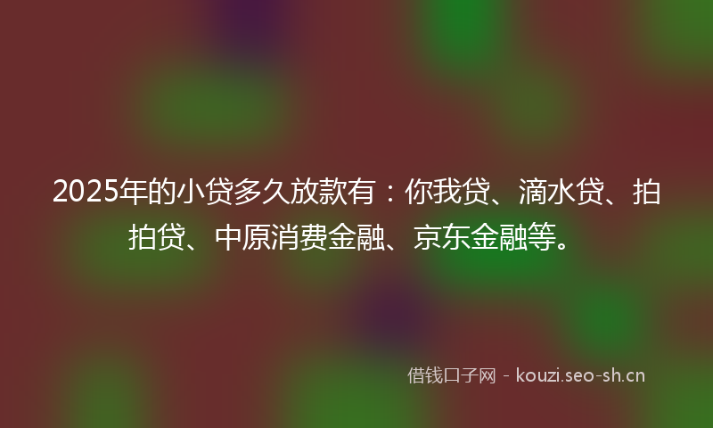 2025年的小贷多久放款有：你我贷、滴水贷、拍拍贷、中原消费金融、京东金融等。