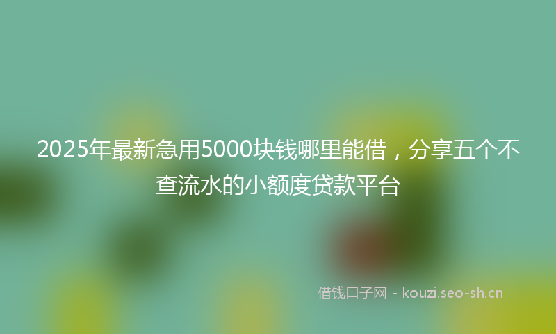 2025年最新急用5000块钱哪里能借，分享五个不查流水的小额度贷款平台