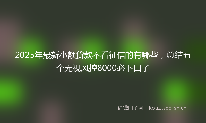 2025年最新小额贷款不看征信的有哪些，总结五个无视风控8000必下口子