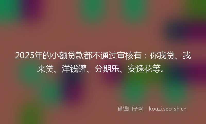 2025年的小额贷款都不通过审核有：你我贷、我来贷、洋钱罐、分期乐、安逸花等。