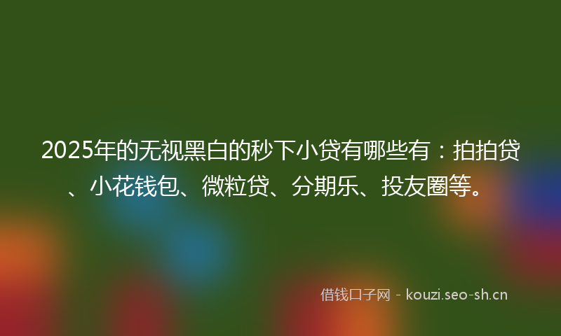 2025年的无视黑白的秒下小贷有哪些有：拍拍贷、小花钱包、微粒贷、分期乐、投友圈等。