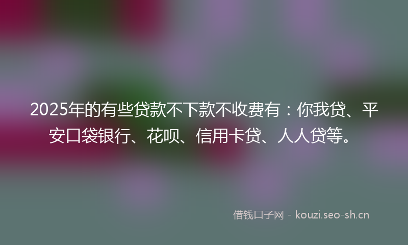 2025年的有些贷款不下款不收费有：你我贷、平安口袋银行、花呗、信用卡贷、人人贷等。