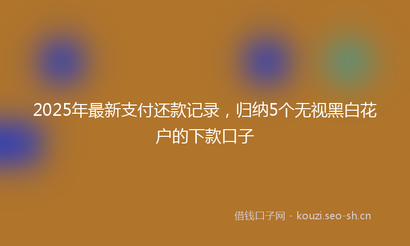 2025年最新支付还款记录，归纳5个无视黑白花户的下款口子