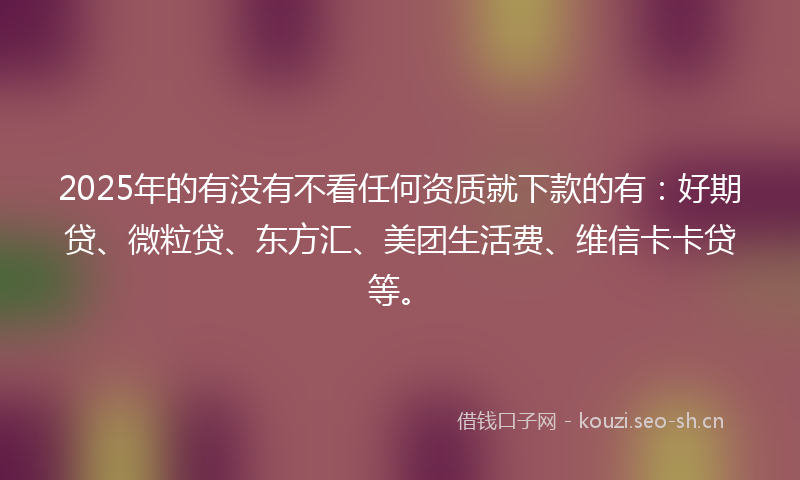 2025年的有没有不看任何资质就下款的有：好期贷、微粒贷、东方汇、美团生活费、维信卡卡贷等。