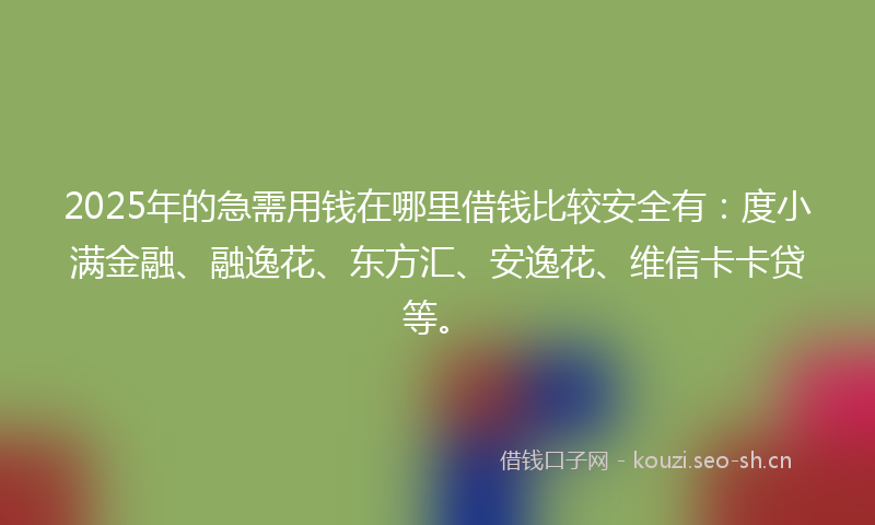 2025年的急需用钱在哪里借钱比较安全有：度小满金融、融逸花、东方汇、安逸花、维信卡卡贷等。