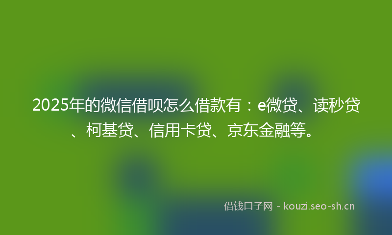 2025年的微信借呗怎么借款有：e微贷、读秒贷、柯基贷、信用卡贷、京东金融等。