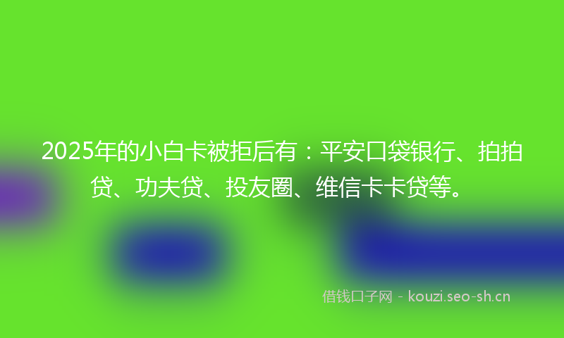 2025年的小白卡被拒后有：平安口袋银行、拍拍贷、功夫贷、投友圈、维信卡卡贷等。