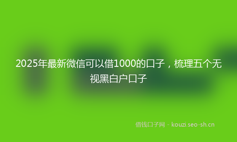 2025年最新微信可以借1000的口子，梳理五个无视黑白户口子