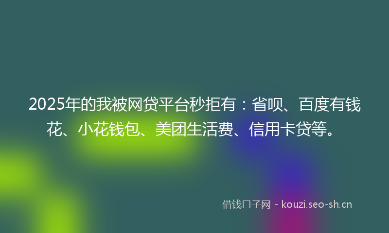 2025年的我被网贷平台秒拒有：省呗、百度有钱花、小花钱包、美团生活费、信用卡贷等。